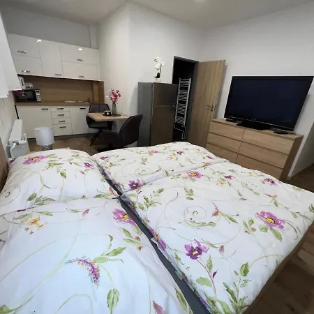 U Jelena 1 Appartement Český Krumlov